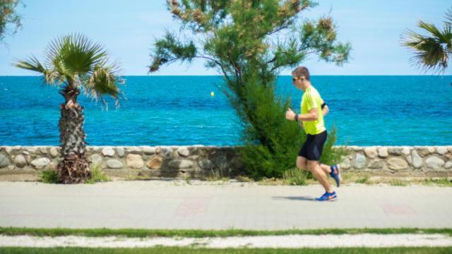 Apartament Un Petit Nid Les Pieds Dans L'Eau Argelès-sur-Mer Zewnętrze zdjęcie